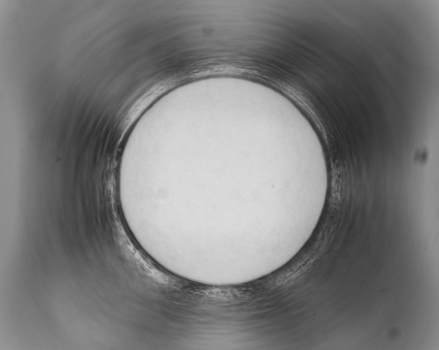 X0000111950906200908241201