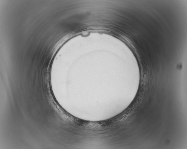 X0000111950907200908241201