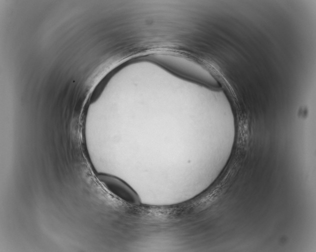 X0000111950908200908241201