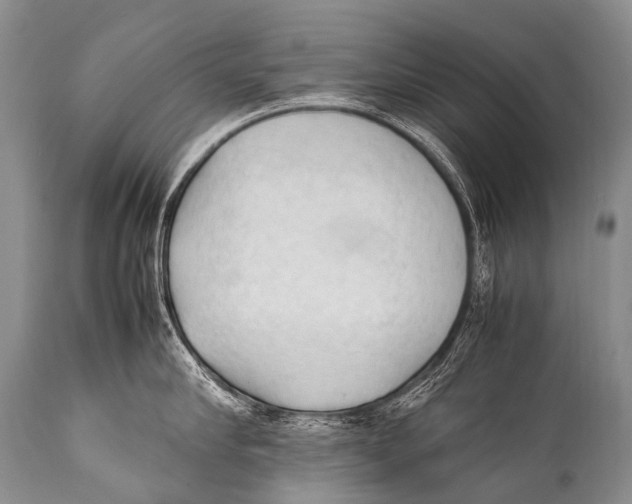 X0000111950910200908241201