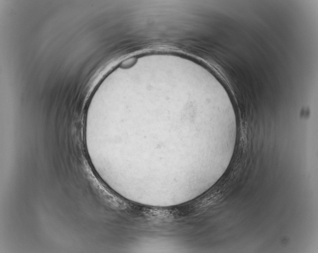 X0000111950911200908241201
