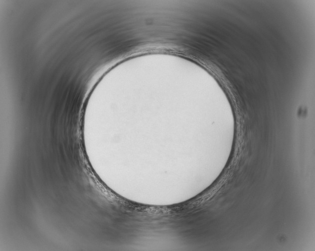 X0000111950912200908241201