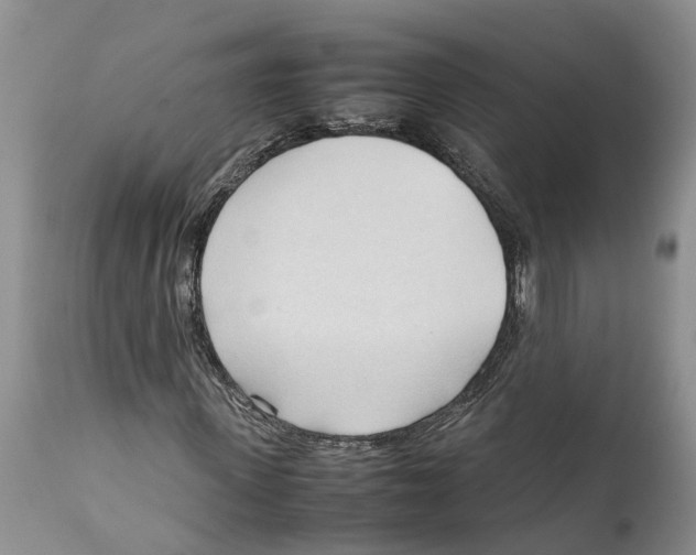 X0000111950915200908241200