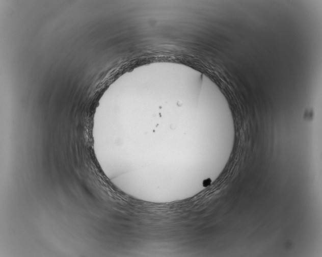 X0000111950916200908241200