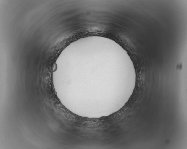 X0000111950917200908241200
