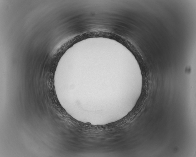 X0000111950919200908241200