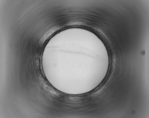 X0000111950921200908241200