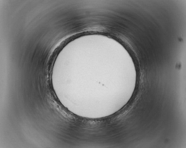 X0000111950923200908241200