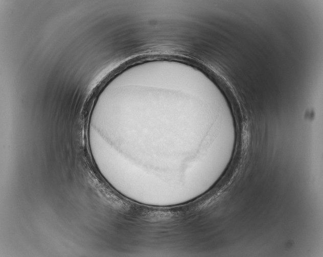 X0000111950925200908241200