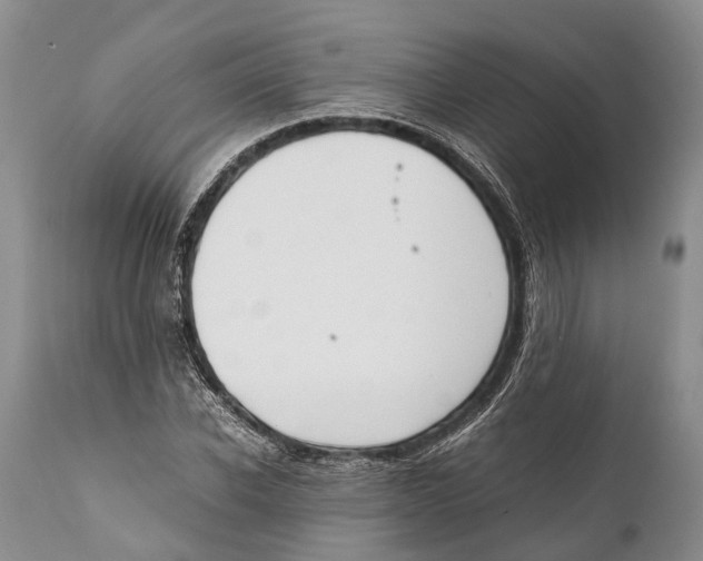 X0000111950926200908241201
