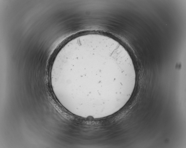 X0000111950927200908241201