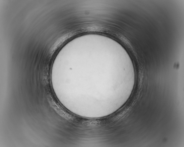 X0000111950930200908241201