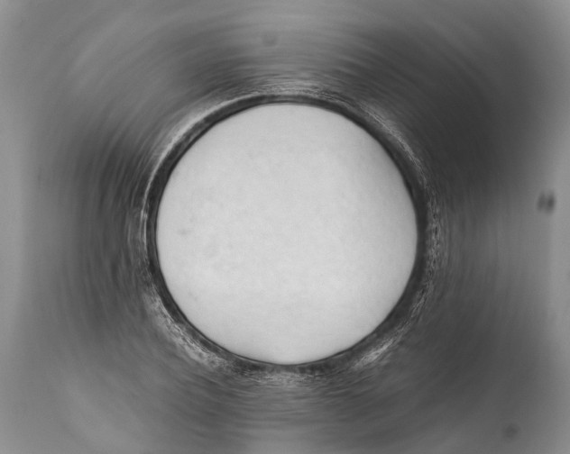 X0000111950932200908241201