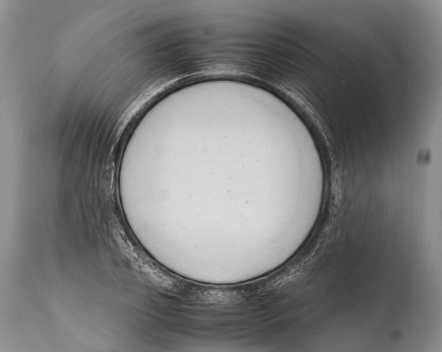 X0000111950933200908241201