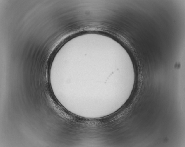 X0000111950934200908241201