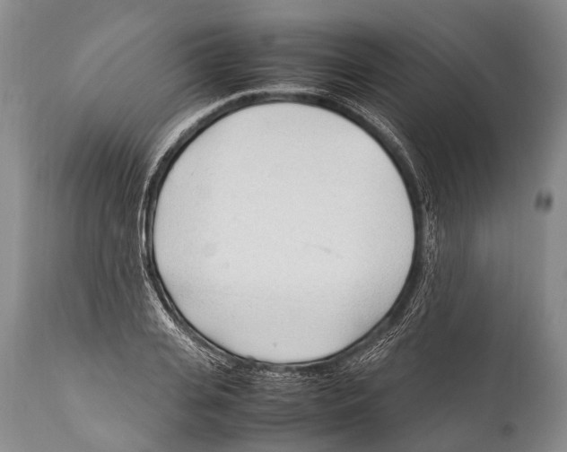 X0000111950935200908241201