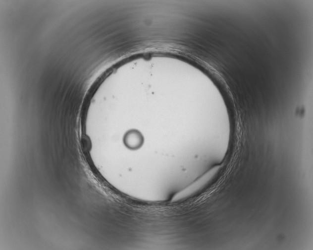 X0000111950936200908241201