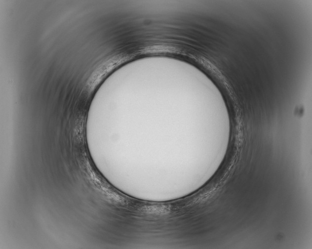 X0000111950937200908241201