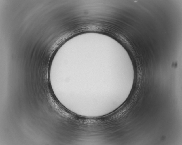 X0000111950938200908241201