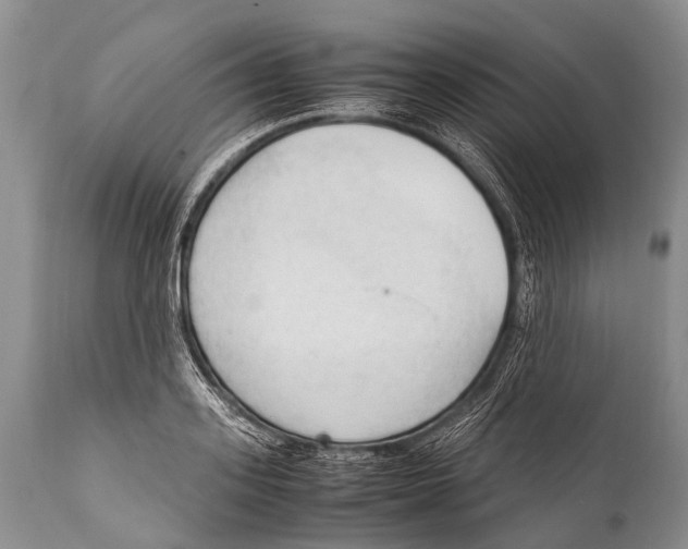 X0000111950939200908241201