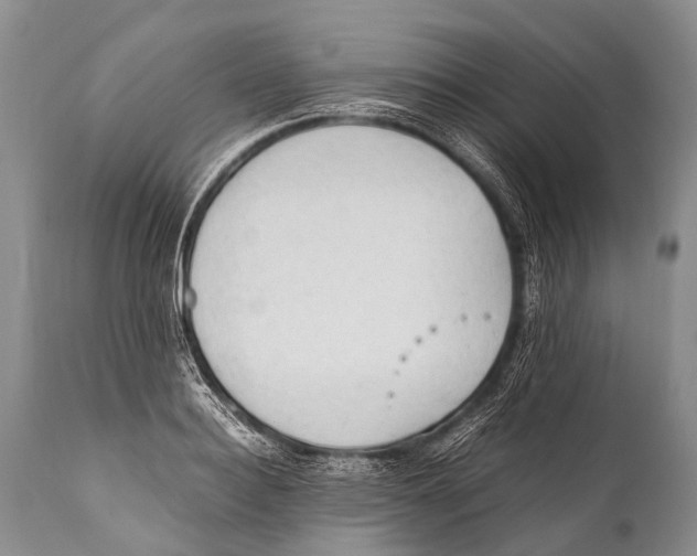 X0000111950940200908241201