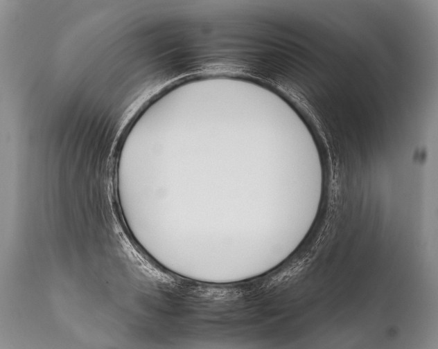 X0000111950941200908241201