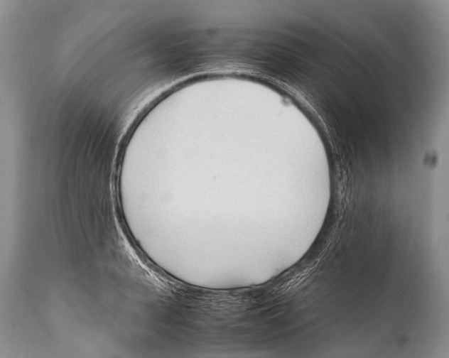 X0000111950943200908241201