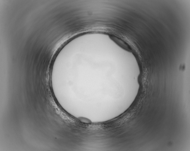 X0000111950944200908241201