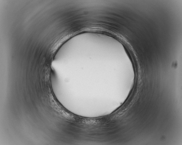 X0000111950945200908241201