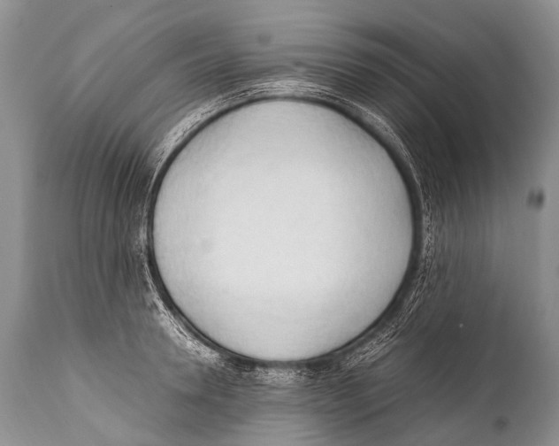 X0000111950946200908241201