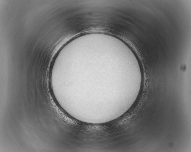X0000111950949200908241201