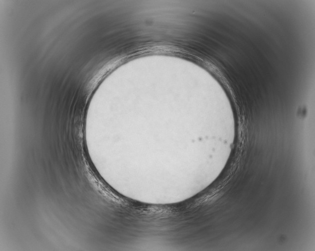 X0000111950954200908241201
