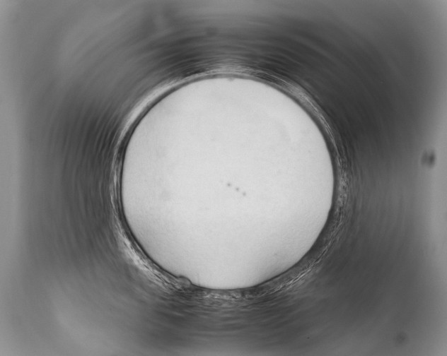 X0000111950955200908241201