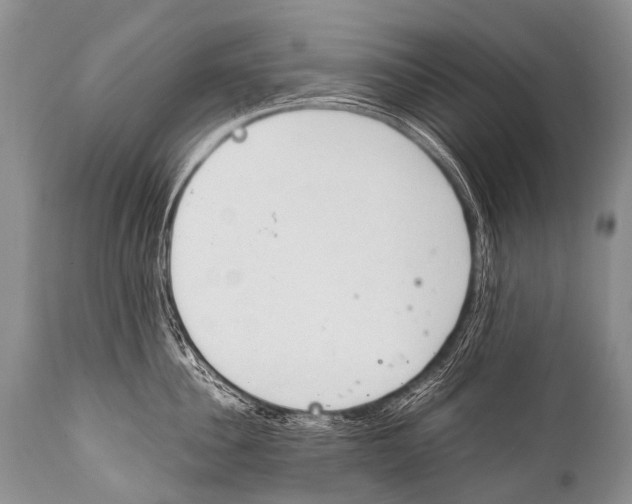X0000111950956200908241201