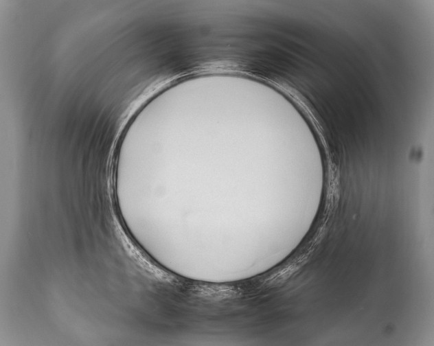X0000111950957200908241201