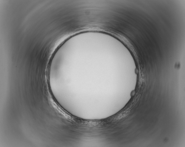 X0000111950958200908241201