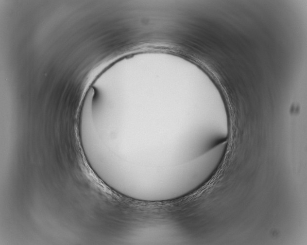 X0000111950960200908241201