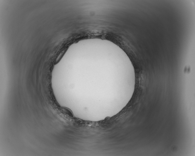 X0000111950961200908241200
