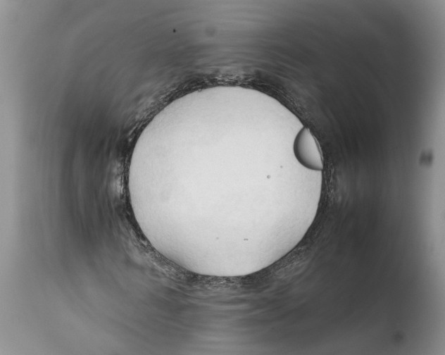 X0000111950962200908241200