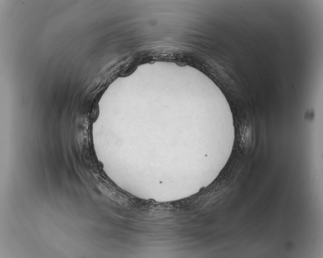 X0000111950964200908241200