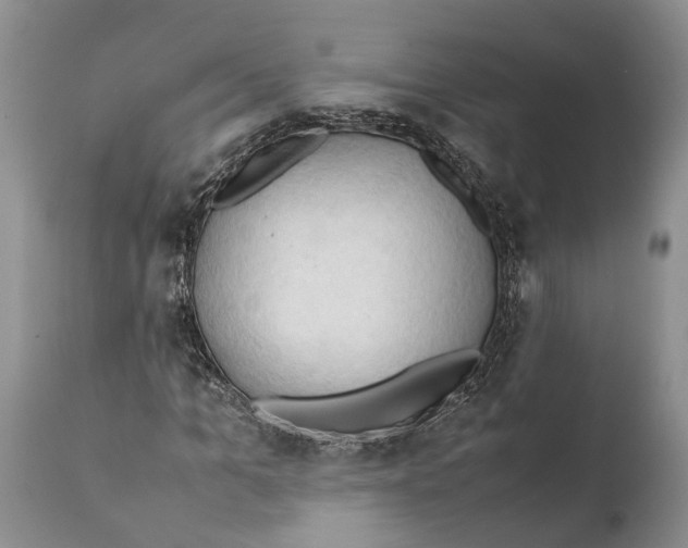X0000111950965200908241200