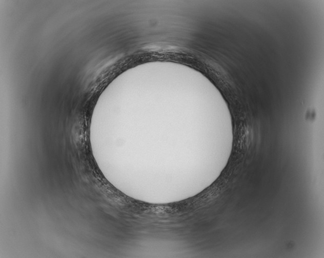 X0000111950966200908241200