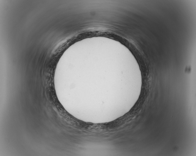 X0000111950967200908241200