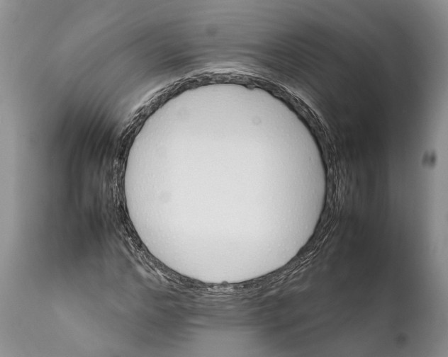 X0000111950968200908241200