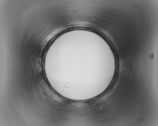 X0000111950970200908241200