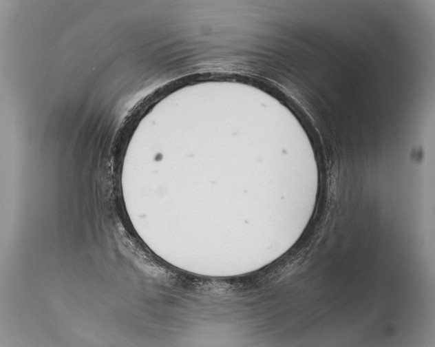 X0000111950971200908241200