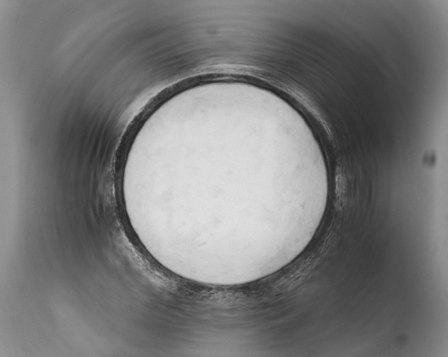 X0000111950972200908241200