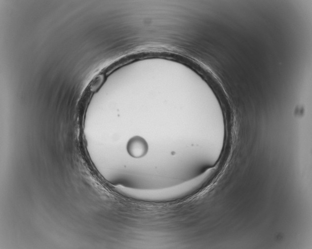 X0000111950973200908241200
