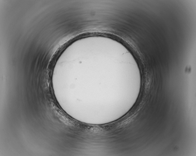 X0000111950974200908241200
