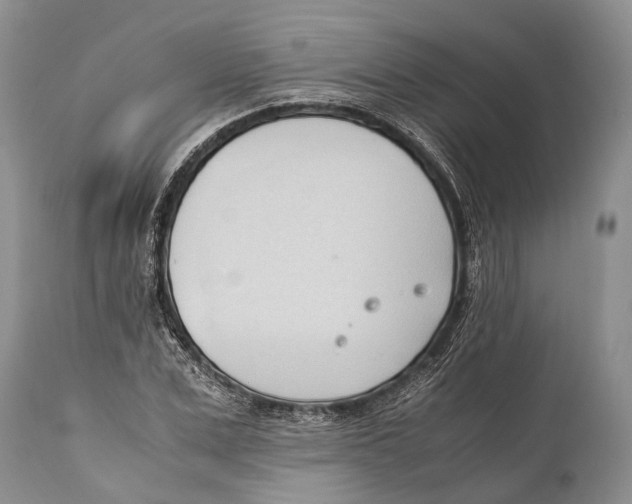 X0000111950975200908241200